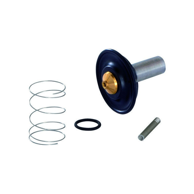 membrana elektrozaworu 1/2'' PFT - oryginał