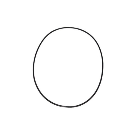 o-ring korpusu pompy STRONG M8, INOBEAM